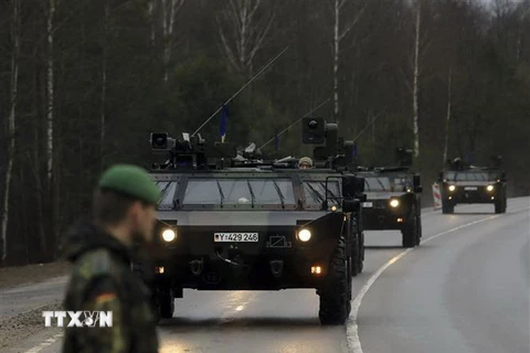 Đoàn xe quân sự Đức tham gia lực lượng của Tổ chức Hiệp ước Bắc Đại Tây Dương (NATO) tại Rukla, Lithuania. (Ảnh: AFP/TTXVN)