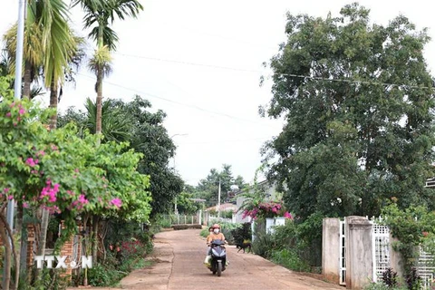 Cuộc sống người dân huyện Cư Kuin, tỉnh Đắk Lắk đã bình yên trở lại. (Ảnh: Tuấn Anh/TTXVN)