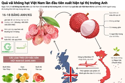 Quả vải không hạt Việt Nam lần đầu tiên xuất hiện tại thị trường Anh