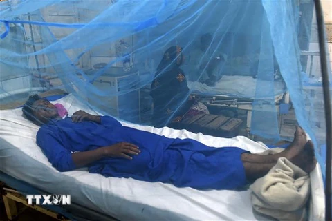 Bệnh nhân mắc sốt xuất huyết được điều trị tại một bệnh viện ở Karachi, Pakistan ngày 4/10/2022. (Ảnh: AFP/TTXVN)