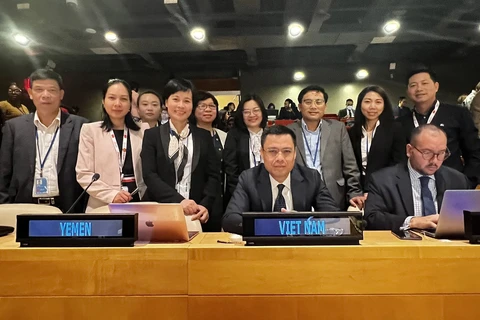 Đoàn Liên ngành Việt Nam tại Hội nghị Liên chính phủ của Liên hợp quốc diễn ra từ 19-20/6 tại New York (Mỹ). (Ảnh: TTXVN phát)