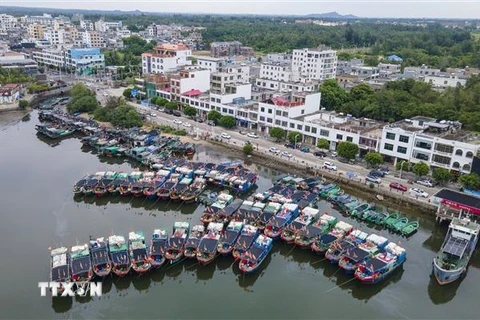 Tàu thuyền neo đậu tránh bão Talim tại tỉnh Hải Nam, Trung Quốc, ngày 17/7/2023. (Ảnh: AFP/TTXVN)