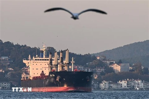 Tàu chở ngũ cốc của Ukraine di chuyển dọc Eo biển Bosphorus ở Istanbul, Thổ Nhĩ Kỳ, ngày 2/11/2022. (Ảnh: AFP/TTXVN)