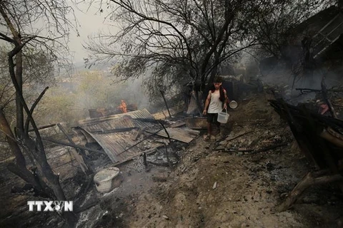Nhiều ngôi nhà bị thiêu rụi trong vụ cháy rừng tại Bouira, Algeria, ngày 24/7/2023. (Ảnh: THX/TTXVN)