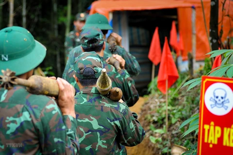 Các cán bộ, chiến sỹ trong một chiến dịch rà phá bom mìn. (Ảnh: Nam Thái/TTXVN)