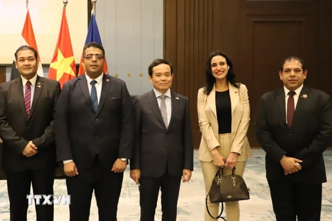 Phó Thủ tướng Trần Lưu Quang dự Lễ kỷ niệm 60 năm thiết lập quan hệ ngoại giao Việt Nam-Ai Cập. (Ảnh: Nguyễn Trường/TTXVN)