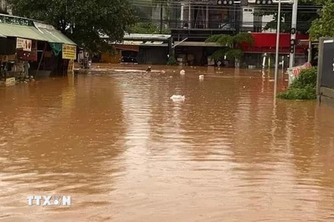 Mưa lớn kéo dài gây ngập lụt nặng tại nhiều địa phương của huyện Bù Đăng, Bình Phước. (Ảnh: TTXVN phát)
