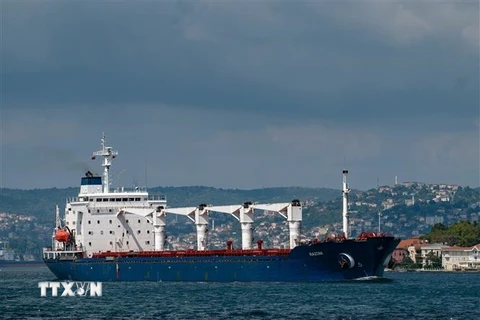 Tàu chở ngũ cốc di chuyển dọc Eo biển Bosphorus ở Istanbul, Thổ Nhĩ Kỳ ngày 3/8/2022. (Ảnh: AFP/TTXVN)