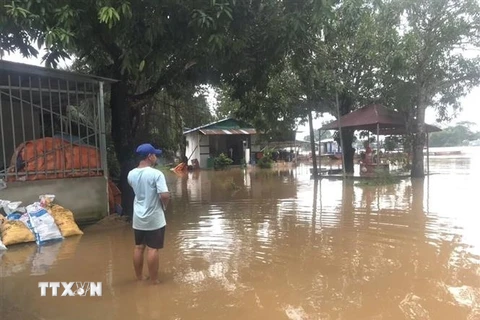 Mưa lớn trong nhiều ngày qua gây ra hiện tượng ngập lụt khu vực ven sông Đồng Nai thuộc địa bàn xã Phú Vinh, huyện Định Quán, tỉnh Đồng Nai. (Ảnh: TTXVN phát)
