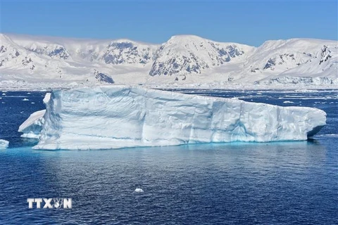 Băng trôi tại Vịnh Chiriguano ở Nam Cực. (Nguồn: AFP/TTXVN)