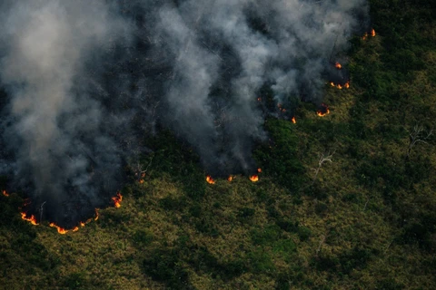[Mega Story] Rừng Amazon - 'Lá phổi xanh của Trái đất' đang kêu cứu
