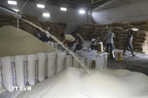 Công nhân làm việc trong xưởng xay xát gạo ở ngoại ô thành phố Hyderabad, Ấn Độ. (Ảnh: AFP/TTXVN)