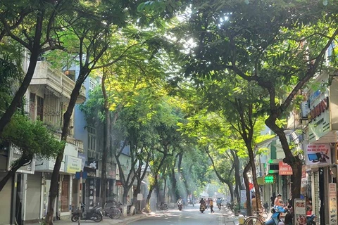 Thủ đô Hà Nội có mây, ngày nắng, có nơi nắng nóng; đêm không mưa. (Ảnh: Huy Khánh/Vietnam+)