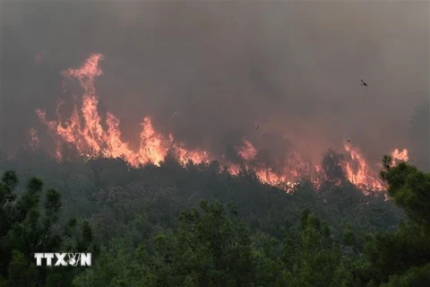 Khói lửa bốc lên từ đám cháy rừng tại làng Lefkimmi, gần Alexandroupoli, miền Bắc Hy Lạp, ngày 2/9/2023. (Ảnh: AFP/TTXVN)