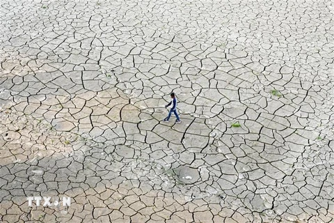 Lòng sông Ganges ở Prayagraj, Ấn Độ khô nứt nẻ do hạn hán kéo dài. (Ảnh: AFP/TTXVN)