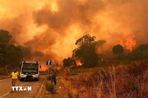 Khói lửa bốc lên từ đám cháy rừng tại Annunziata, Messina, Italy. (Ảnh: AFP/TTXVN)