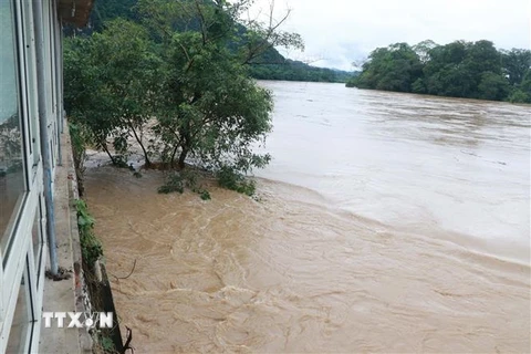 Mực nước sông Lam dâng cao kéo theo nhiều nguy cơ ảnh hưởng đến vùng hạ du các huyện Anh Sơn, Thanh Chương, Nam Đàn. (Ảnh: Nguyễn Văn Nhật/TTXVN)