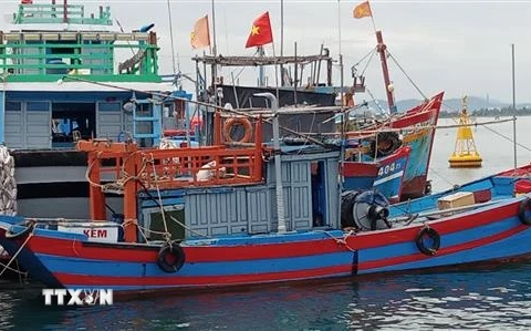 Tàu khai thác hải sản xa bờ cập cảng cá Tam Quang, huyện Núi Thành, Quảng Nam. (Ảnh: Đoàn Hữu Trung/TTXVN)