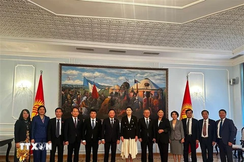 Phó Chủ tịch Quốc hội Nguyễn Khắc Định (thứ 6 từ trái sang) và Phó Chủ tịch Hội đồng Tối cao Kyrgyzstan, Dzhamilia Isaeva (thứ 7 từ trái sang) cùng các đại biểu tham dự hội đàm. (Ảnh: TTXVN phát)