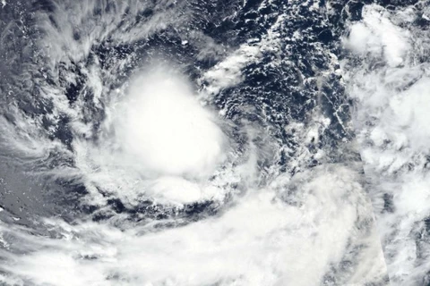 Sáng 5/10, bão Koinu sẽ đi vào vùng biển phía Đông Bắc khu vực Bắc Biển Đông. (Nguồn: Trung tâm Dự báo Khí tượng Thủy văn Quốc gia)