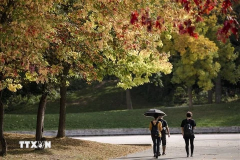 Nắng nóng tại Montreal, Quebec (Canada) ngày 5/10/2023. (Ảnh: AFP/TTXVN)