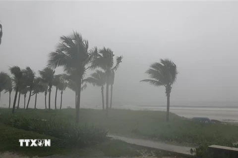 Mưa lớn kèm gió to tại biển Mỹ Khê, quận Sơn Trà, thành phố Đà Nẵng. (Ảnh: Văn Dũng/TTXVN)
