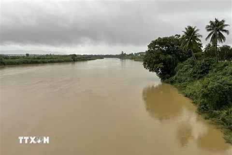 Do mưa lớn, nước sông Trà Khúc qua địa bàn thành phố Quảng Ngãi đang dâng cao. (Ảnh: Phạm Cường/TTXVN)