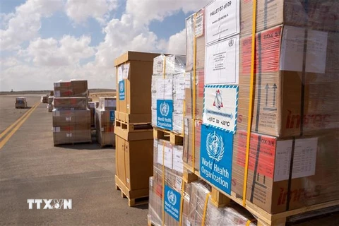 Hàng viện trợ cho Dải Gaza tới sân bay thành phố Arish trên Bán đảo Sinai, Ai Cập, ngày 15/10/2023. (Ảnh: AFP/TTXVN)