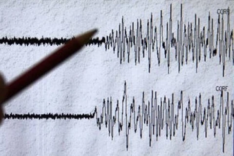 Một trận động đất có độ lớn 4,9 đã làm rung chuyển khu vực phía Nam Iran. (Nguồn: Tribune)
