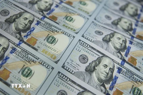 Tiền giấy mệnh giá 100 USD. (Ảnh: AFP/TTXVN)