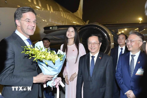 Bộ trưởng Bộ Khoa học và Công nghệ Huỳnh Thành Đạt, Đại sứ Việt Nam tại Hà Lan Ngô Hướng Nam đón Thủ tướng Hà Lan Mark Rutte tại Sân bay Quốc tế Nội Bài. (Ảnh: Minh Đức/TTXVN)