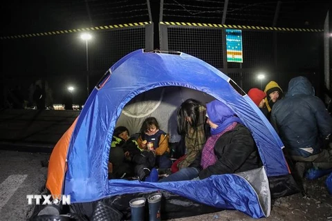 Người di cư trú trong lều tạm ở làng Kelebija, biên giới Serbia-Hungary. (Ảnh: AFP/TTXVN)