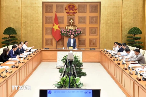 Phó Thủ tướng Trần Lưu Quang phát biểu chỉ đạo. (Ảnh: Lâm Khánh/TTXVN) 