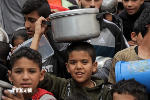 Trẻ em Palestine nhận thực phẩm cứu trợ tại thành phố Rafah, Dải Gaza ngày 19/11/2023. (Nguồn: THX/TTXVN)