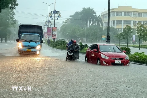 Nhiều nơi ở Quảng Bình có mưa to. (Ảnh: Tá Chuyên/TTXVN)