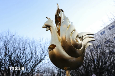 Tượng gà trống bằng vàng trước khi được đặt lên đỉnh tháp chuông của Nhà thờ Đức Bà ở Paris, Pháp ngày 16/12/2023. (Ảnh: AFP/TTXVN)