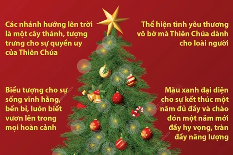 Tìm hiểu về cây thông Noel - biểu tượng cho Lễ Giáng sinh