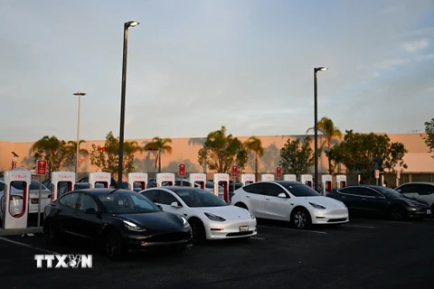 Các xe ôtô điện của Tesla tại trạm sạc ở California, Mỹ. (Ảnh: AFP/TTXVN)
