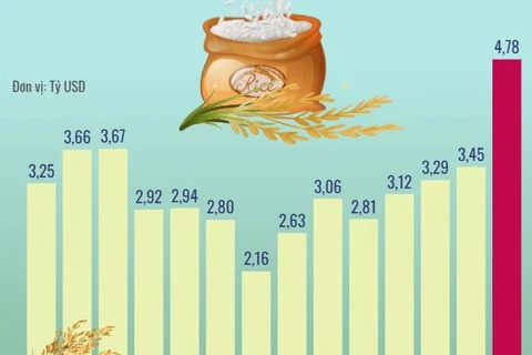 Xuất khẩu gạo đạt kỷ lục 4,78 tỷ USD trong năm 2023