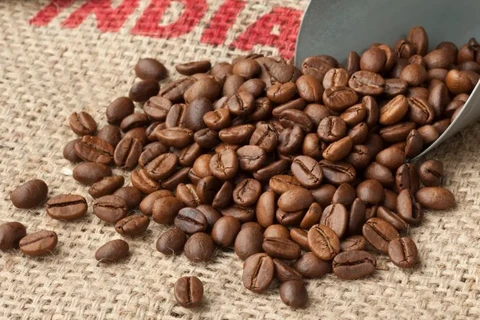 Ấn Độ là nhà trồng càphê lớn thứ 8 thế giới. (Nguồn: Coffee Intelligence)