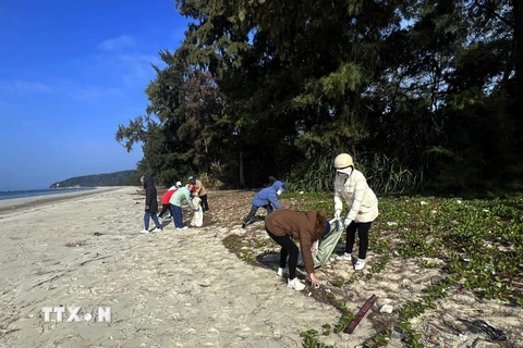 Người dân tham gia dọn sạch bãi biển trên đảo Cô Tô. (Ảnh: TTXVN phát)
