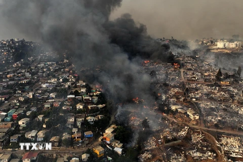 Khói bốc lên ngùn ngụt trong đám cháy rừng tại Viña del Mar, Chile, ngày 3/2/2024. (Ảnh: AFP/TTXVN)