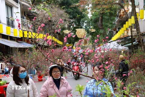 Ngày cuối năm đi chợ hoa truyền thống Hà Nội