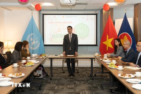 Đại sứ Đặng Hoàng Giang, Trưởng Phái đoàn Thường trực Việt Nam tại Liên hợp quốc, chúc tết các chuyên gia người Việt làm cho Liên hợp quốc. (Ảnh: TTXVN phát)
