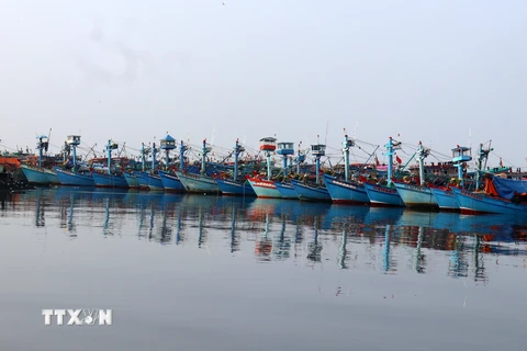 Tàu cá ngư dân neo đậu nghỉ Tết trên khu vực biển thành phố Rạch Giá (Kiên Giang). (Ảnh: Lê Huy Hải/TTXVN)