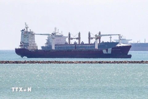 Các tàu container di chuyển gần kênh đào Suez trên biển Đỏ. (Ảnh: AFP/TTXVN)
