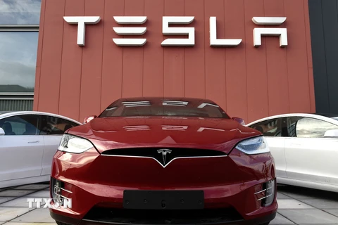 Tham vọng của Tesla tại Đông Nam Á sẽ phải đối mặt với sự cạnh tranh từ BYD. (Ảnh: AFP/TTXVN)