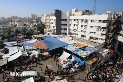 Bệnh viện Al Shifa ở thành phố Gaza. (Ảnh: AFP/TTXVN)