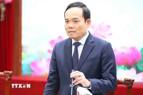 Phó Thủ tướng Chính phủ Trần Lưu Quang. (Ảnh: Minh Đức/TTXVN)