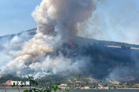 Các vụ cháy rừng là một trong những nguyên nhân khiến chất lượng không khí ở một số khu vực của Mỹ giảm xuống mức thấp. (Ảnh: Oregon Live/TTXVN)